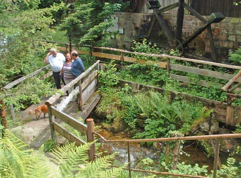 Am Oberlauf der Alb (Foto: P. Schulenburg)